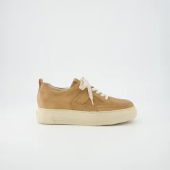 Paul Green Sneaker|5535-029 Braun