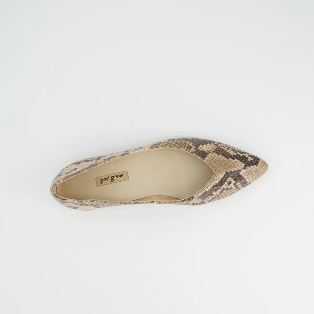 Paul Green Ballerina|3772-209 Beige / Reptiloptik