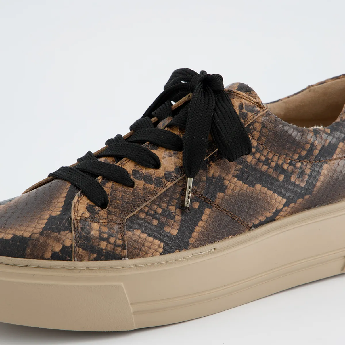 Paul Green Sneaker|Sneaker 5469-058 Braun kombiniert / Reptil
